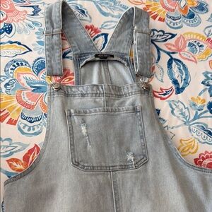 Wild Fable Light Denim Overalls